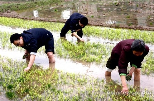 A job swap on the farm