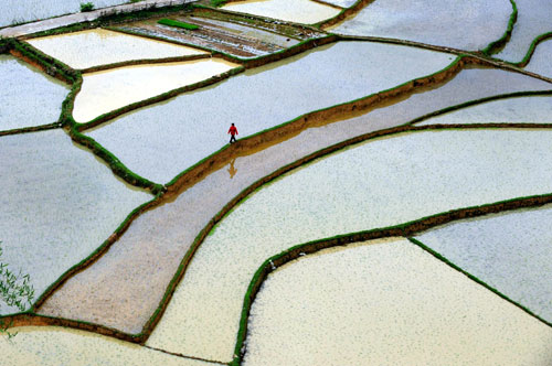 Weekly Photos: April 12-18