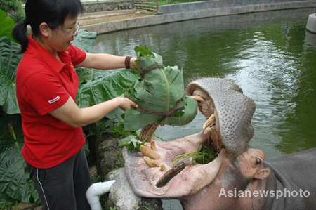 Yippee! It's 'Zongzi' Festival