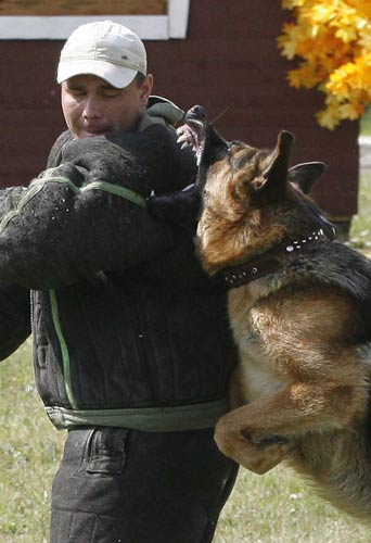 Police dogs go through service tests in Russia