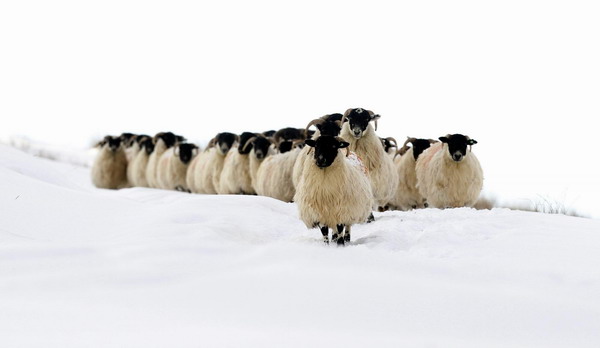 Snowy Christmas ahead for Europeans