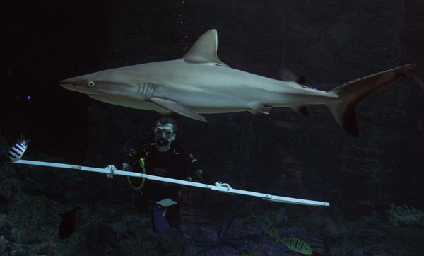 Time for a census at Hamburg zoo