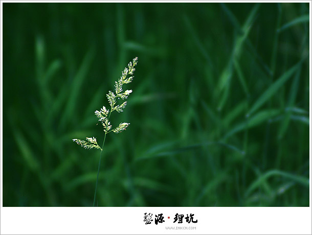 Wuyuan, East China's Jiangxi province