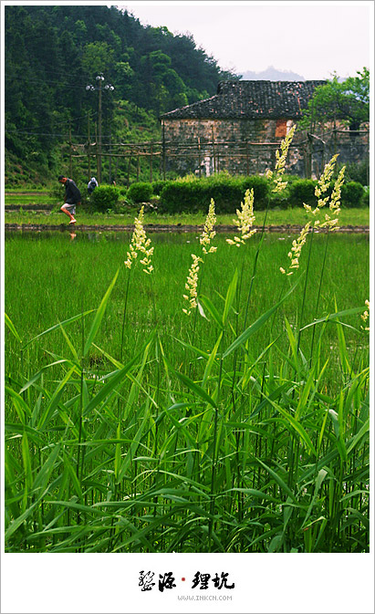 Wuyuan, East China's Jiangxi province