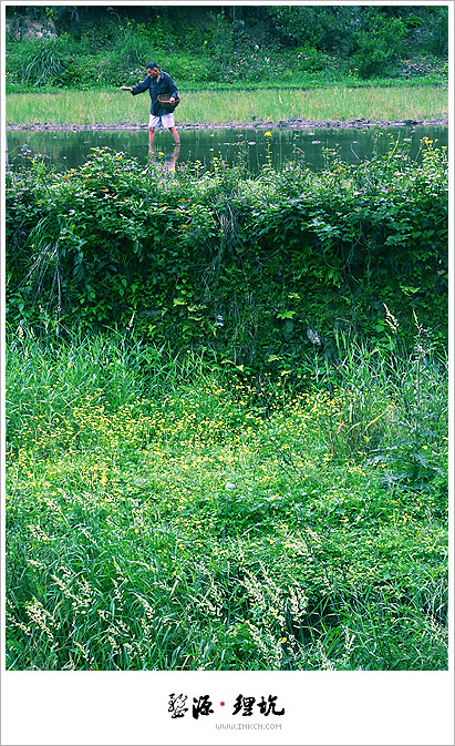 Wuyuan, East China's Jiangxi province