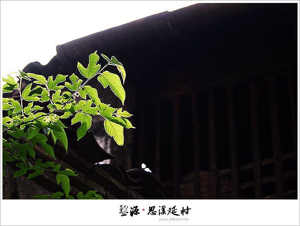 Wuyuan, East China's Jiangxi province