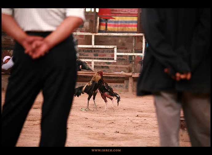 Experiencing Xinjiang (III)