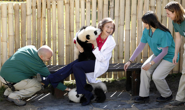The queen of panda cubs