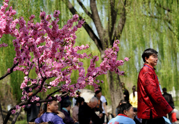 Traditional art is no monkey business