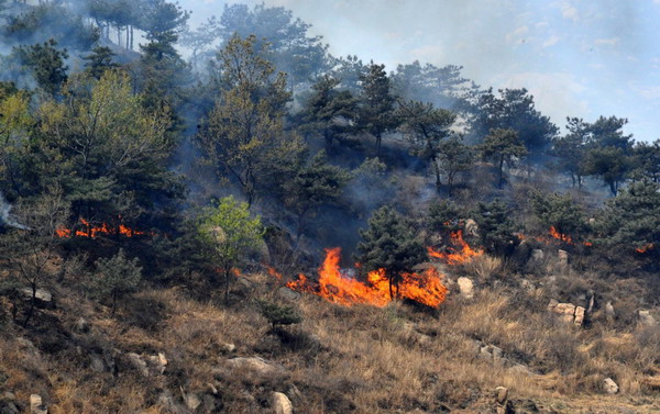 Mountain fire rekindled in E China