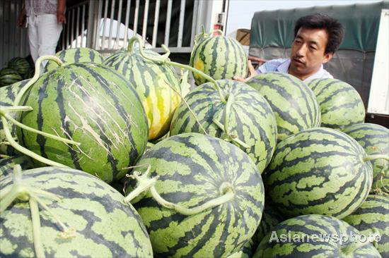 A vendor carries watermelons onto a truck in Liaocheng city, East China's Shandong province, on Saturday May 28, 2011. Watermelons burst up, so does the sale