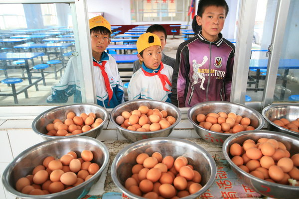 One-egg-a-day scheme improves pupils' diets One-egg-a-day scheme improves pupils' diets