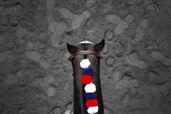 Snapshots: The world in 24 hours, June 11, 2011