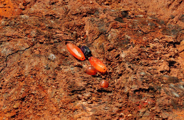 Ancient tomb found in S China