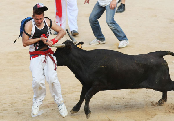 A heifer charges at a reveller at Pamplona's bullring after the sixth running of the bulls at the San Fermin festival in Pamplona July 12, 2011. Bulls run at San Fermin festival