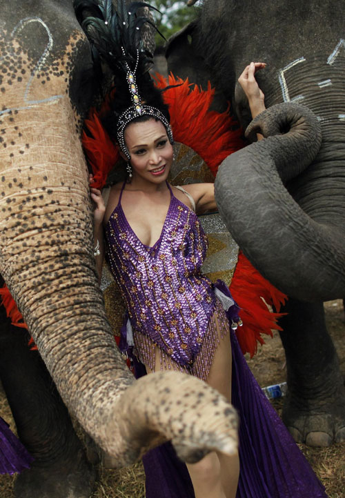 Elephant Polo in Thailand