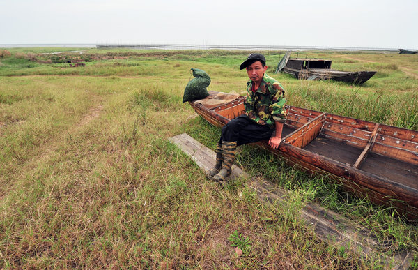 Dry lake woes for migrant bird