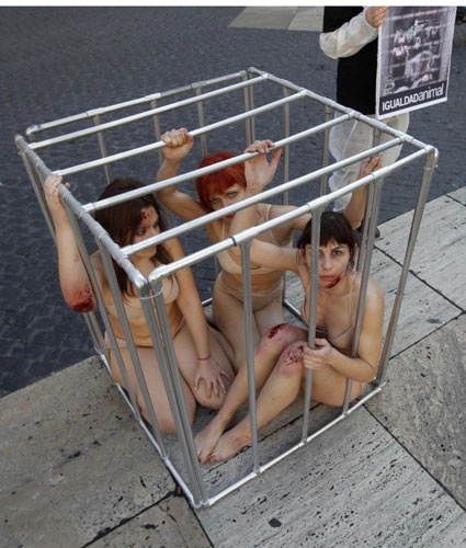 'Animal Equality' (or Igualdad Animal in Spanish) activists protest at Sant Jaume Square, in front of Palau de la Generalitat, in central Barcelona January 19, 2012. Protesters call for animal equality in Spain