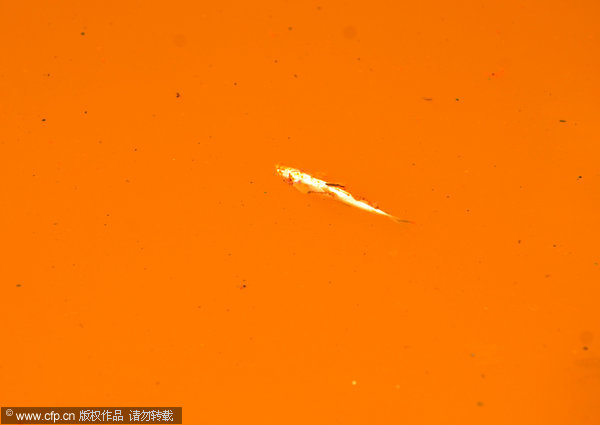 River turns orange due to spill