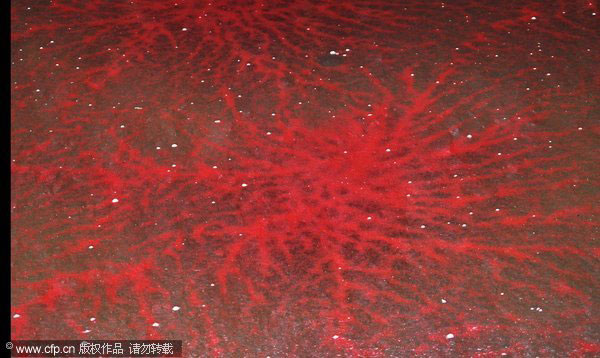 Weekly Photos: April 9 - 15