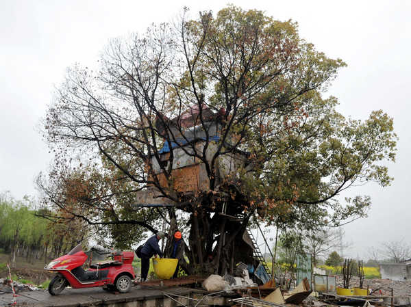 Weekly Photos: April 9 - 15