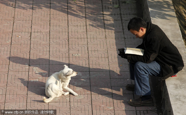 Chinese bookworms' unique reading spots