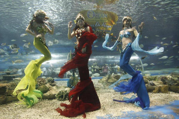 Flowers of May festival at ocean park