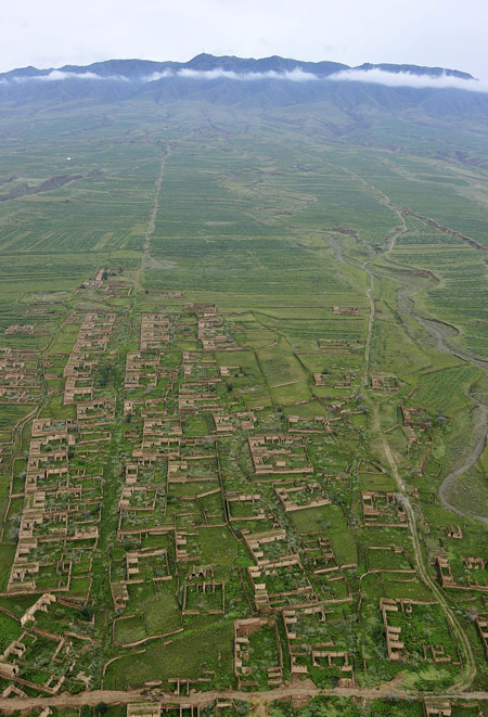 A green change in desert