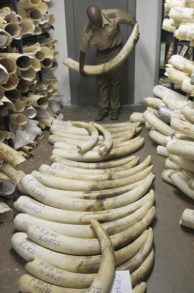 Zimbabwe parks to ask for ivory trade permission
