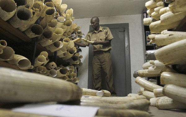 Zimbabwe parks to ask for ivory trade permission