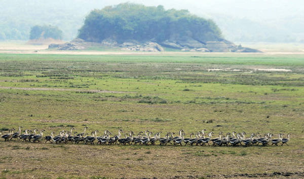 Freshwater lake sees low water level