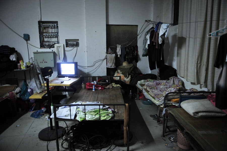 Behind the scenes at animal circus