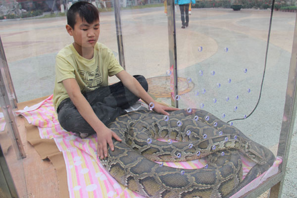 Boy stays with pet python in S China