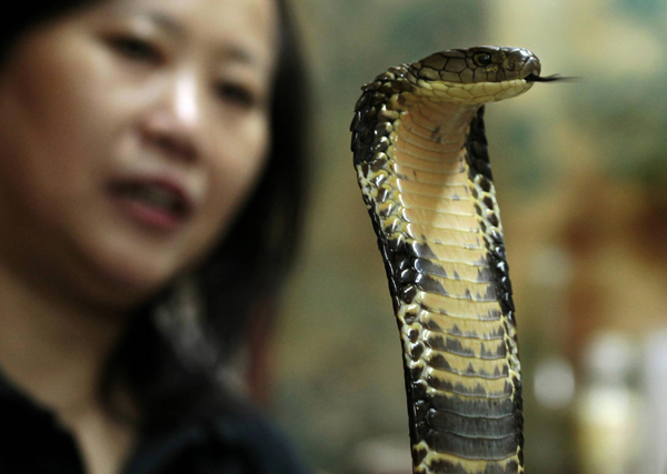 Snake soup stores in Hong Kong
