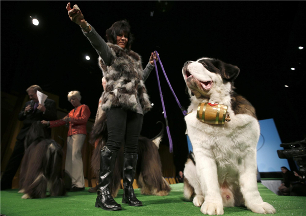 Dog Show