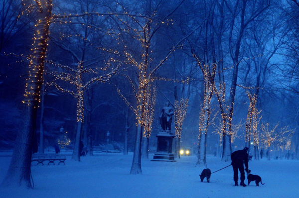 Blizzards strike northeastern US