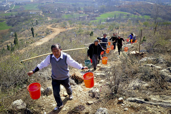 Planting trees across China