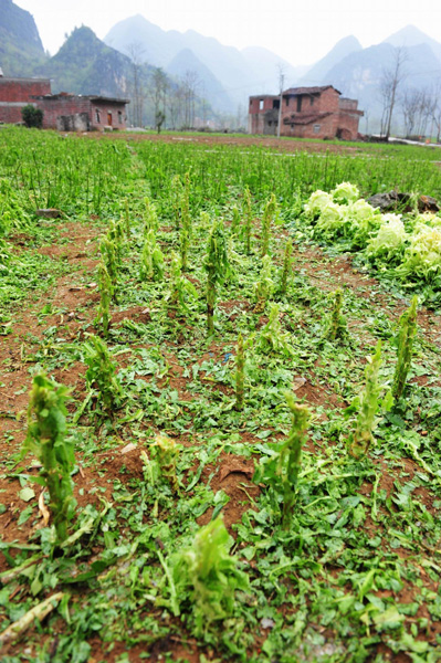 Rare hail hits South China