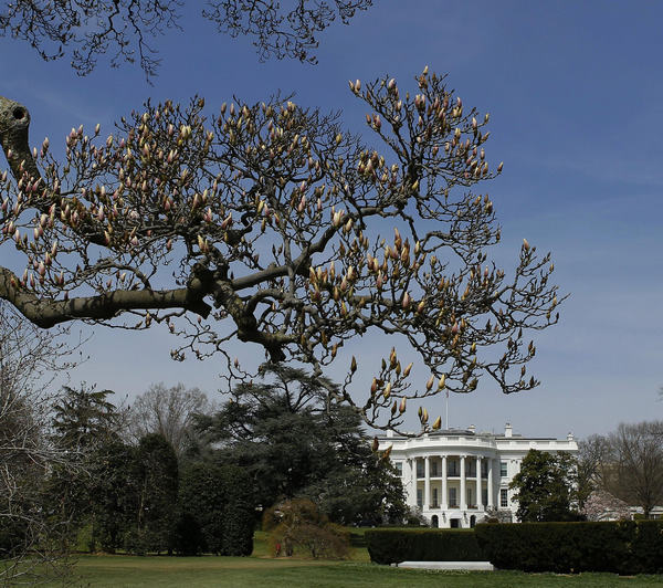 Plannting at White House kitchen garden