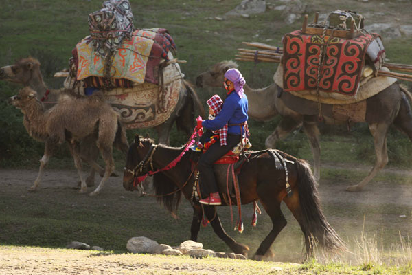 Moving to fresh pastures