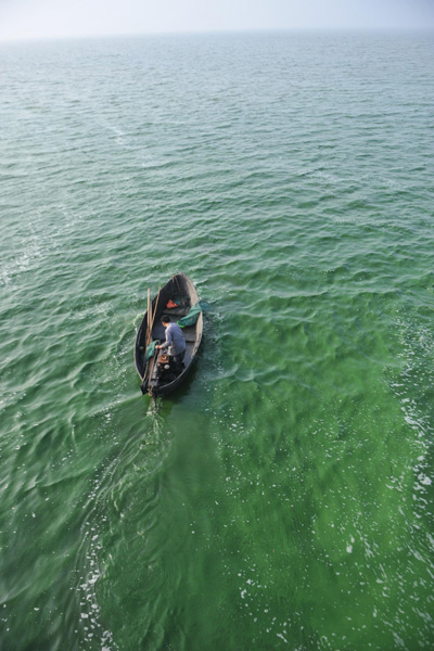 Weekly Photos: June 24 - 30