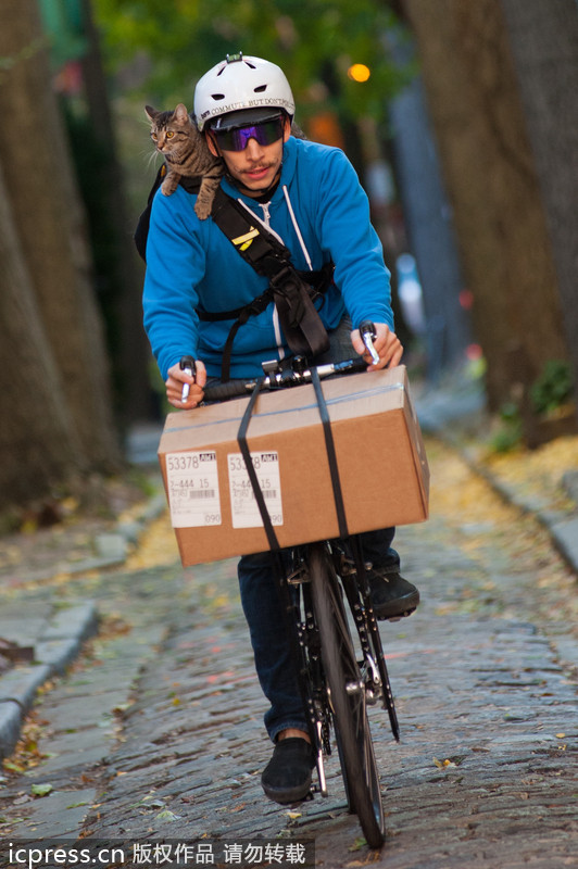 US courier Rudi Saldia and his cat make deliveries, Nov 9, 2012. Making deliveries in style
