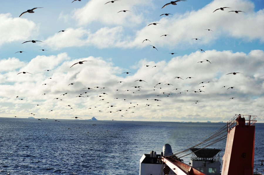 China builds 4th research station in Antarctica