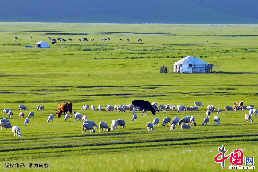 'Most unsullied grasslands' in China