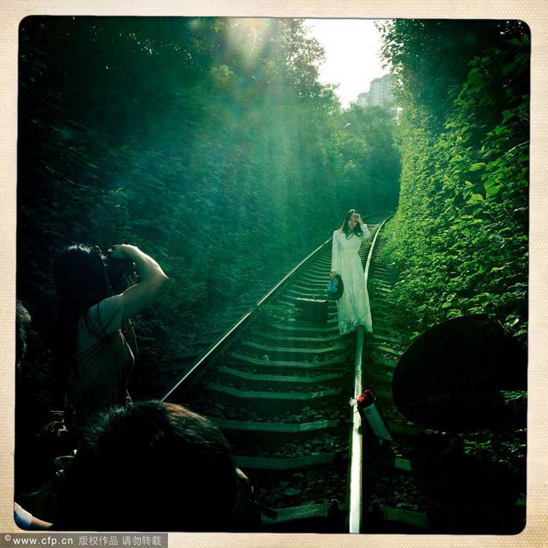 Weekly Photos: Aug 10-17