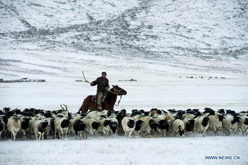 Weekly Photos: Sept 14-21