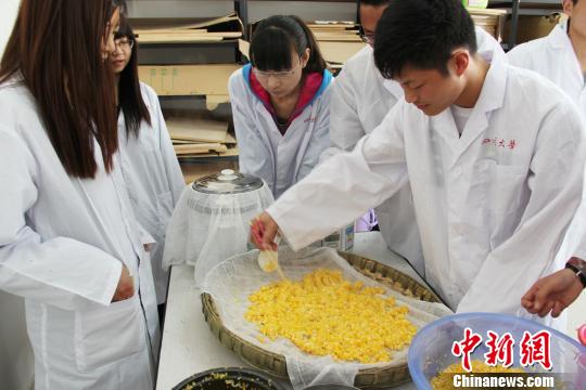 四川成立釀酒產學研聯盟18家酒企成實習基地