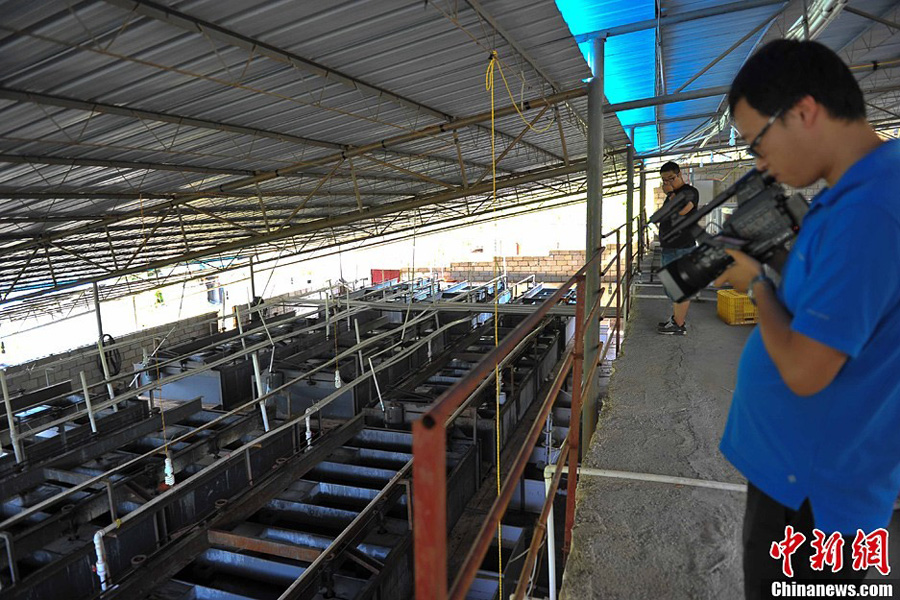 記者探訪廣西賀江水污染肇事企業（組圖）