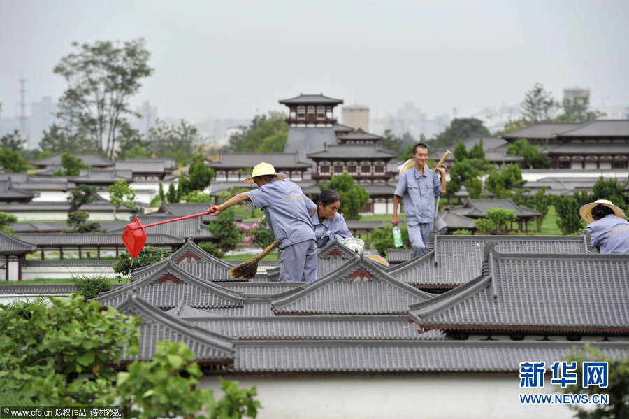 高清組圖：雨后草瘋長“巨人”來清掃