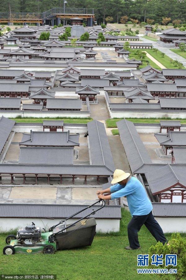 高清組圖：雨后草瘋長“巨人”來清掃
